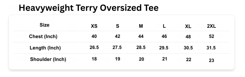 heavyweight terry oversized tee (women) resize